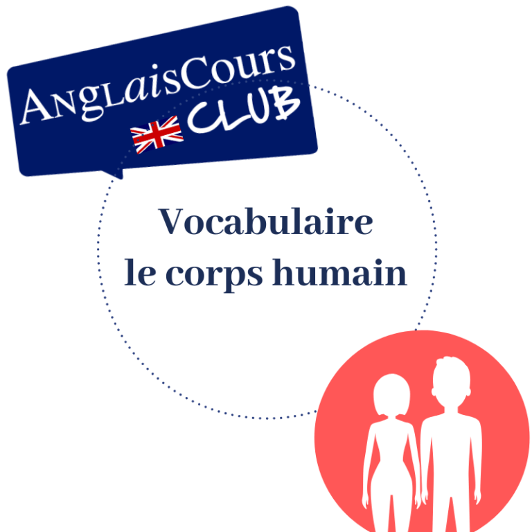 le corps humain en anglais_ anglais cours club
