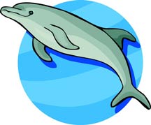 dolphin