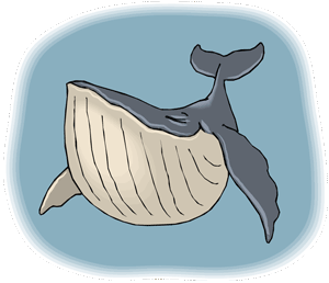 whale