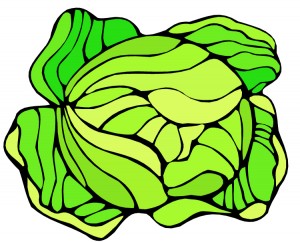 cabbage