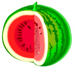 watermelon