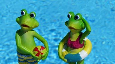 Image : There are two frogs in the swimming pool.