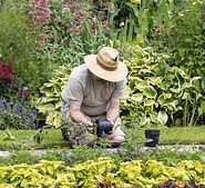 If I hadn't been forced to work last weekend, I would have been working in the garden. 