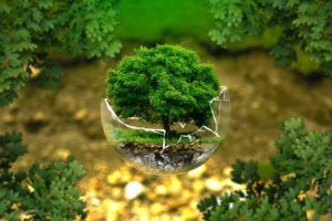 Arbre miniature dans boule en verre