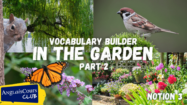 Vocabulary Builder – In The Garden – Part 2 – Notion 3