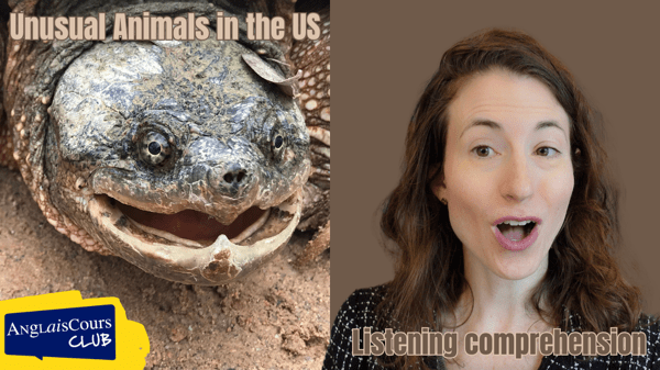 Listening Comprehension – Unusual Animals in the US